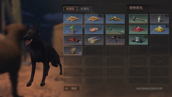 明日之后贵重物资放在狗身上安全吗？