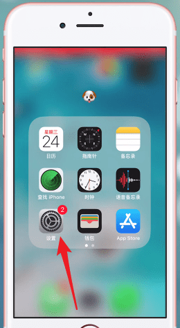 苹果手机中将图标调小的具体操作流程介绍