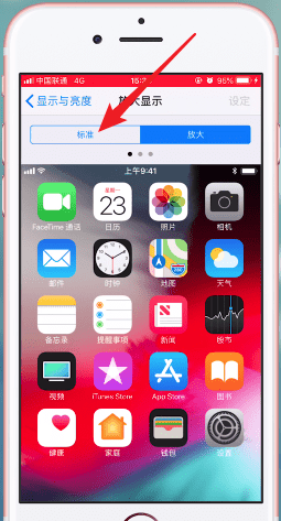 苹果手机中将图标调小的具体操作流程介绍