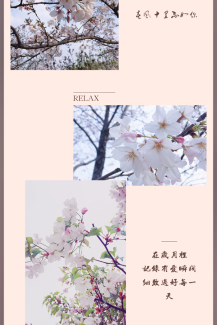 简拼APP添加文字的详细操作讲解