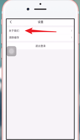 淘集集中联系看客服的具体方法介绍