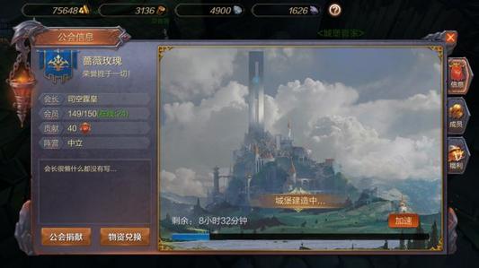 万王之王3d手游公会城堡怎么升到2级 经验满了怎么升不了2级