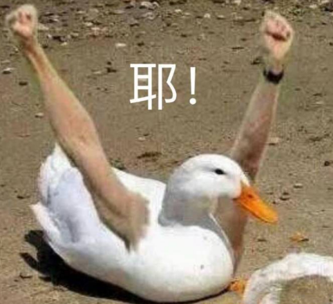 行骗天下JP首播在什么时候 内容有什么亮点
