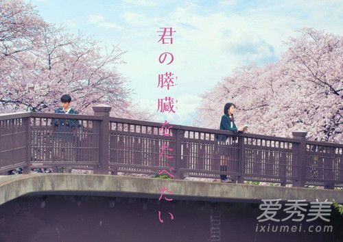 我想吃掉你的胰脏什么时候在中国上映 女主怎么死的