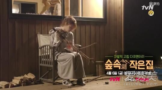 韩国综艺林中小屋收视率 林中小屋嘉宾都有谁