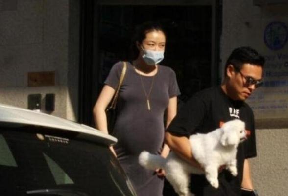 熊黛林人工受孕是真的吗 怀的是双胞胎女儿吗