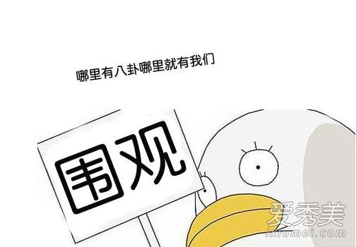 网易娱乐主编爆料的一线女星是谁 卖人设装好妻子是刘涛还是杨幂
