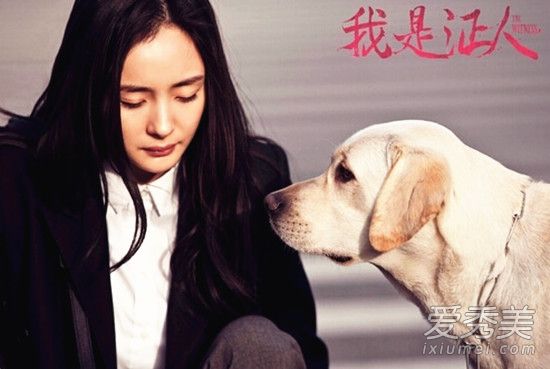 刘恺威力挺杨幂是怎么回事 杨幂诈捐门事件始末
