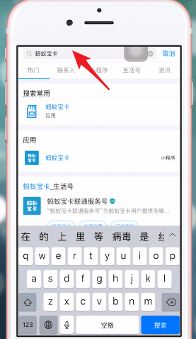 苹果手机中共享手机流量的具体操作方法