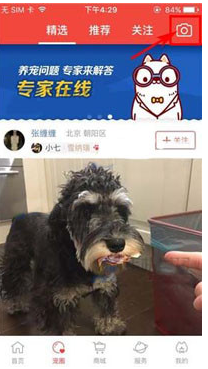 有宠app中发布动态的具体操作步骤介绍