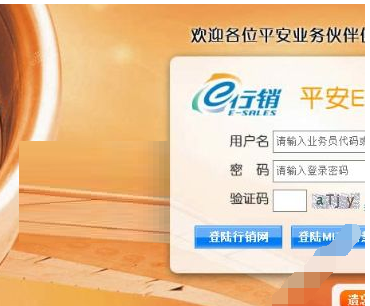 平安口袋e行销忘记密码的巨具体解决方法