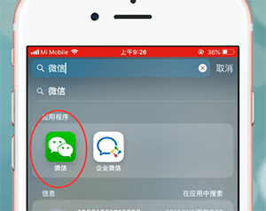 苹果手机中找不到微信的具体操作步骤