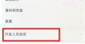 荣耀magic2在将开发者选项开启的具体操作步骤