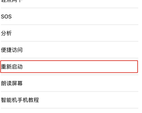 苹果xr进行重启的详细操作步骤
