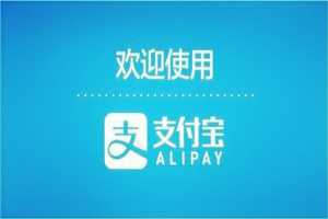 支付宝蚂蚁积分守护宝贝计划是什么 守护宝贝计划怎么加入 