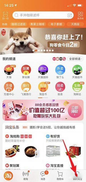 淘宝中查看我的双11战绩的具体操作步骤