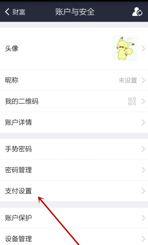 支付宝APP设置默认付款方式的详细操作步骤介绍