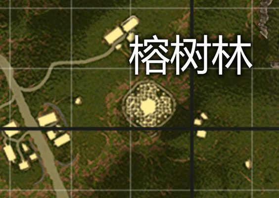 绝地求生刺激战场雨林跳伞点怎么选择？