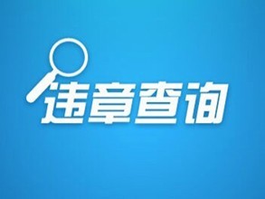 车轮查违章app查询违章记录具体步骤