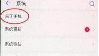 荣耀畅玩8c手机中将开发者选项打开的具体操作步骤