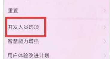 荣耀畅玩8c中开启usb调试的详细操作步骤