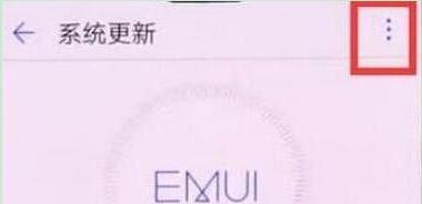 荣耀10青春版中将系统自动更新关掉的详细操作步骤
