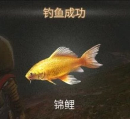 明日之后锦鲤在哪钓？