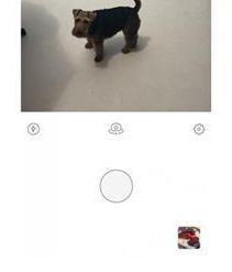 Prisma的具体使用步骤介绍