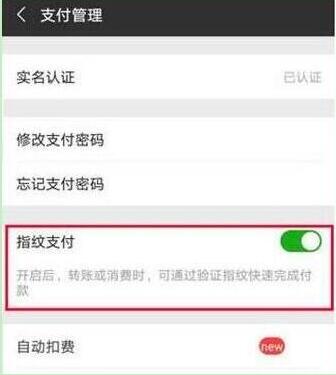 荣耀10青春版设置微信指纹支付的具体操作流程