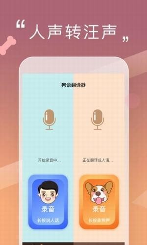 汪星语app