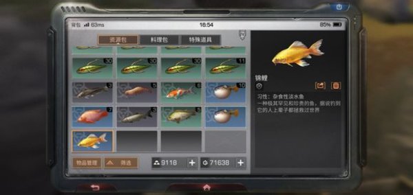明日之后锦鲤在哪里获取？锦鲤地点分享