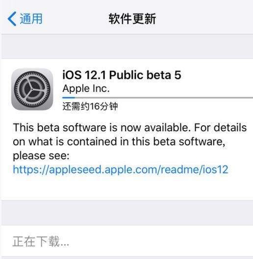 ios12.1bate5应用bug是什么  ios12.1bate5应用无限重启如何解决