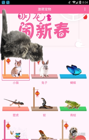 激萌猫咪桌面宠物下载