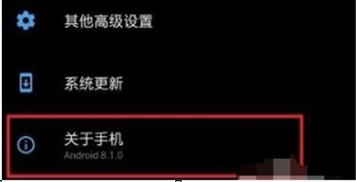 一加6t中将开发者选项打开的具体流程介绍
