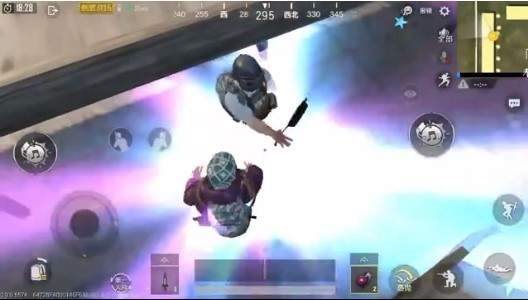 iefans网