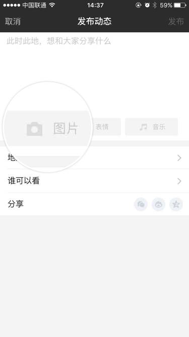 苹果手机中陌陌发布动态的具体流程介绍
