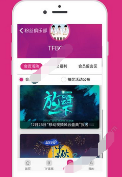 TF家族的详细使用流程介绍