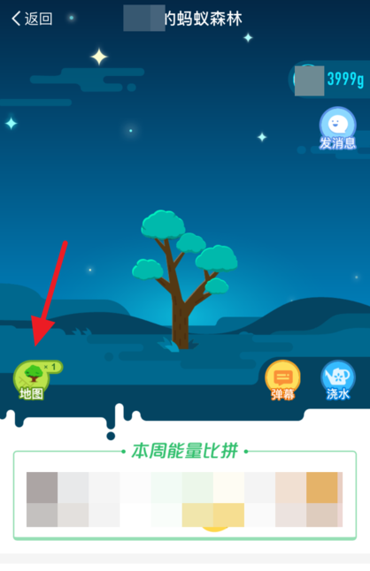 支付宝中查看蚂蚁森林种树实景图的具体操作方法