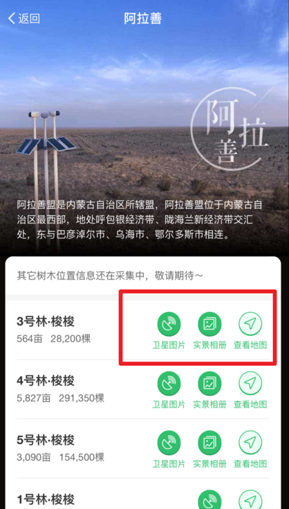 支付宝中查看蚂蚁森林种树实景图的具体操作方法