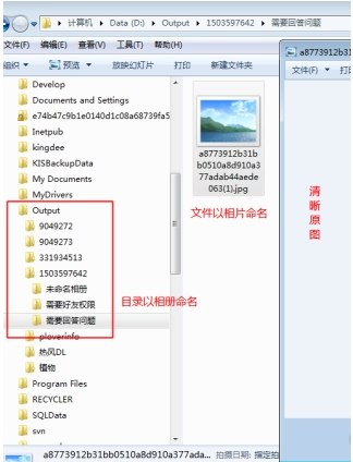 啄木鸟图片下载器的详细使用步骤介绍
