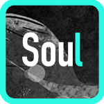 soul如何置顶动态 soul瞬间动态置顶教程