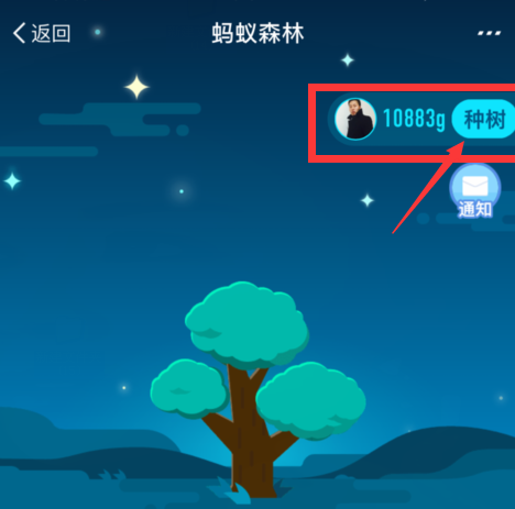 支付宝中获取蚂蚁森林环保证书的具体操作步骤