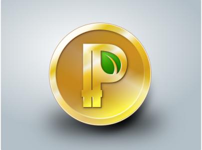 点点币PPC常见问题是什么？点点币PPC常见问题解答！