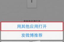 新浪微盘APP查看文件的简单操作
