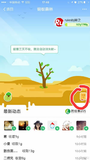 蚂蚁森林钉钉是什么 蚂蚁森林钉钉能量怎么收集