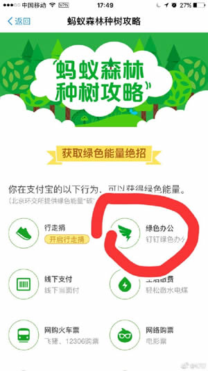 蚂蚁森林钉钉是什么 蚂蚁森林钉钉能量怎么收集