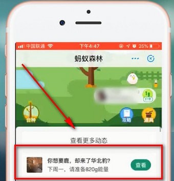 支付宝中蚂蚁森林领取华北豹的具体操作方法