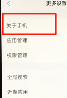 vivoz3中将开发者选项打开的具体操作步骤