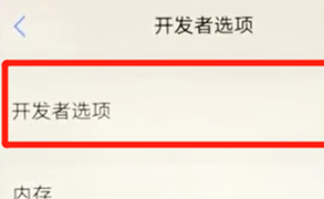 vivoz3中将开发者选项打开的具体操作步骤