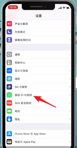 iPhone X中设置面容id的具体操作流程介绍